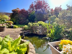 Garden- click for photo gallery